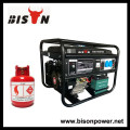 BISON (CHINA) BS7500BGHD OEM Generador de energía de motor de gas